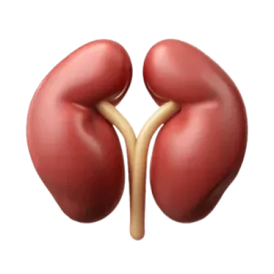 Nephrology Medicine Company