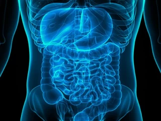 ALIMENTARY PRODUCTS (GASTROLOGY)