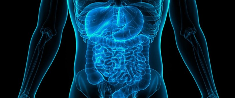 ALIMENTARY PRODUCTS (GASTROLOGY) 1