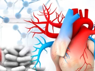 Pharma Franchise Company For Cardiac & Diabetic