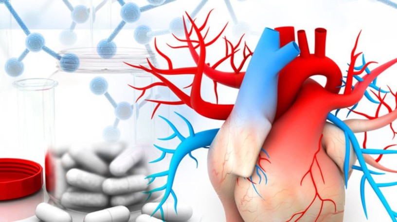 Pharma Franchise Company For Cardiac & Diabetic 1