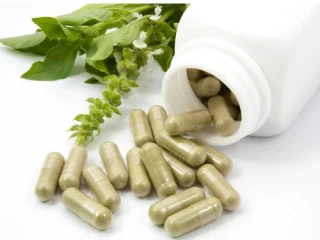 Single Ingredient Nutraceutical/Herbal Capsule Formulations