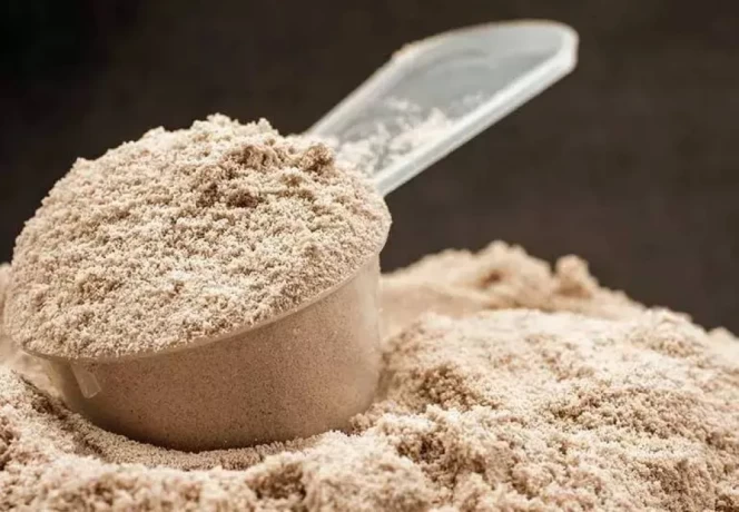 Best Pharma Franchise Company for Protein Powder Range 1