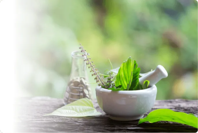 Pharma Franchise Company For Ayurvedic Products 1