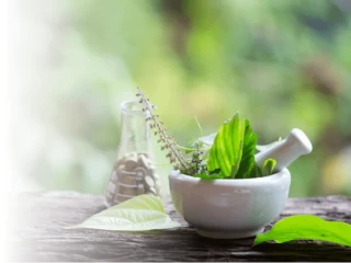 Pharma Franchise Company For Ayurvedic