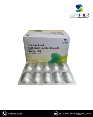 Pharma Franchise Company For Capsules 1