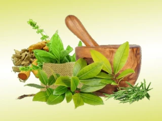 Pharma Franchise Company For Ayurvedic