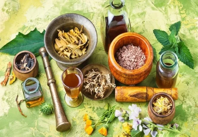 Pharma Franchise Company For Ayurvedic Herbal Products 1