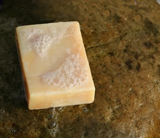 Pharma franchise company for Soaps 1