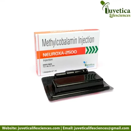 Pharma Franchise Company For Injectables 2