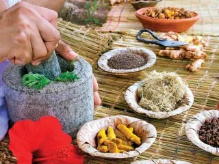 Ayurvedic Products