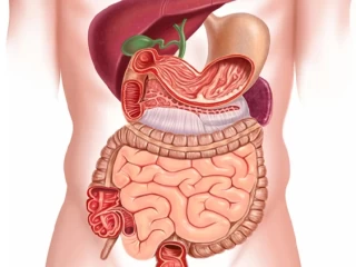 Top PCD Pharma Franchise For Gastro Range