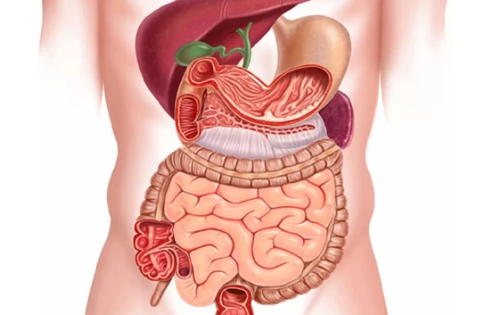 Top PCD Pharma Franchise For Gastro Range 1