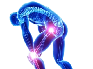 Pharma PCD Franchise Company For Orthopedic