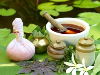 Best Pharma Pcd Company For Ayurvedic