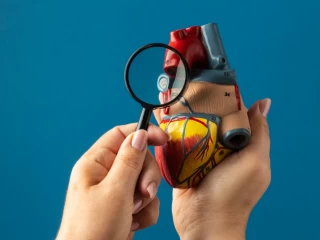 cardiac diabetic pcd pharma franchise