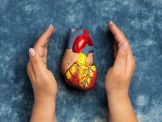 cardiac diabetic franchise company
