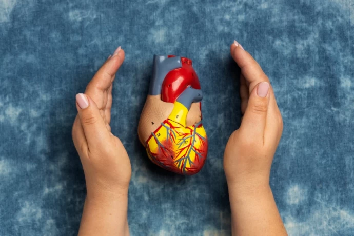 Cardiac Diabetic Franchise Company for Smart Growth 1
