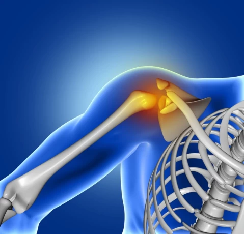 Top Ortho Products Company for Real Business 1
