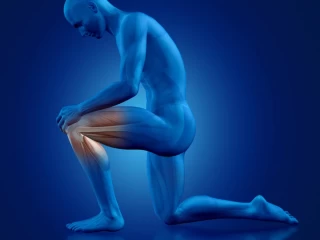 orthopedic company