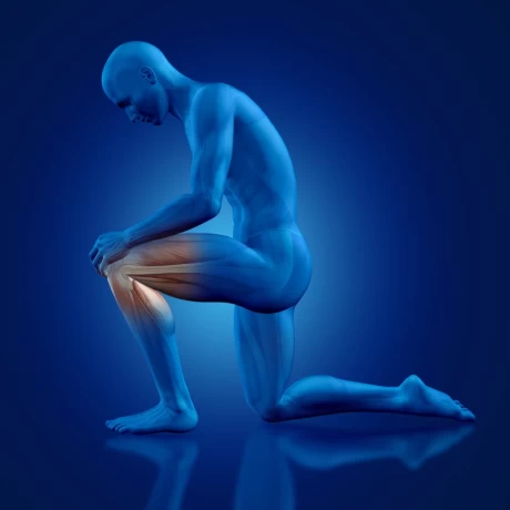 Premier Orthopedic Company for Smart Business 1