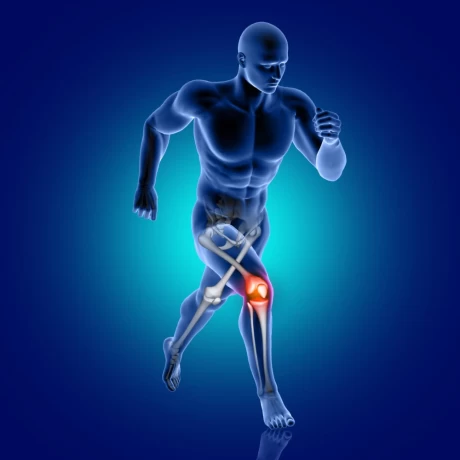 Top Ortho Companies for Reliable Partnership 1