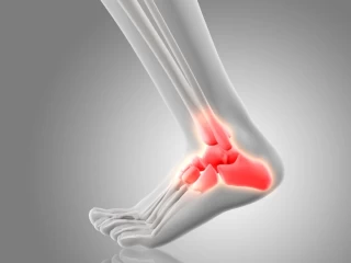 orthopedics manufacturer
