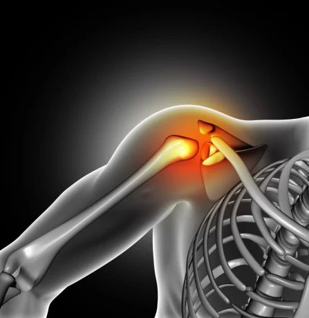 Top Ortho Products Company for Smart Business 1