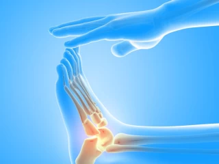 ortho products manufacturers