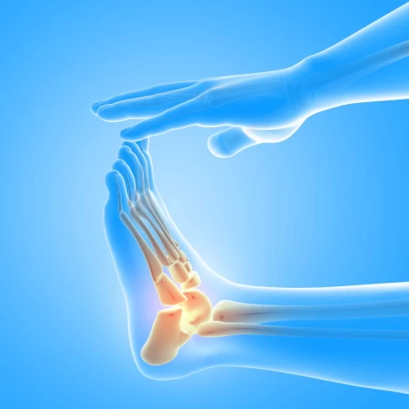 Premier Ortho Products Manufacturers in India 1