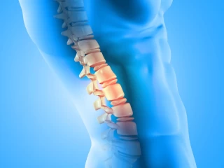 ortho products suppliers