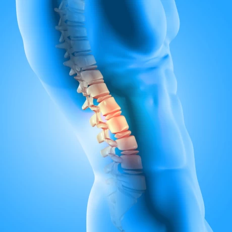 Leading Ortho Products Suppliers Across India 1