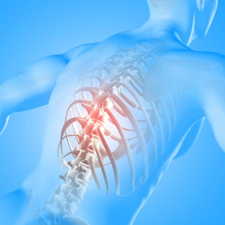Best Ortho Medicine Company for Smart Business 1