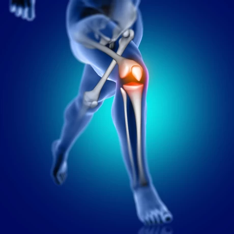 Top Ortho PCD Franchise Company Across India 1