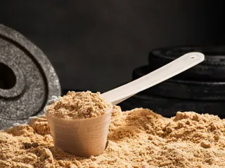 Best Protein Powder Suppliers